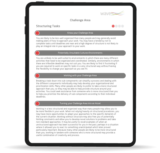 Career Guidance Report, Challenge Area, mock-up