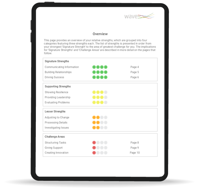 Career Guidance report mock-up