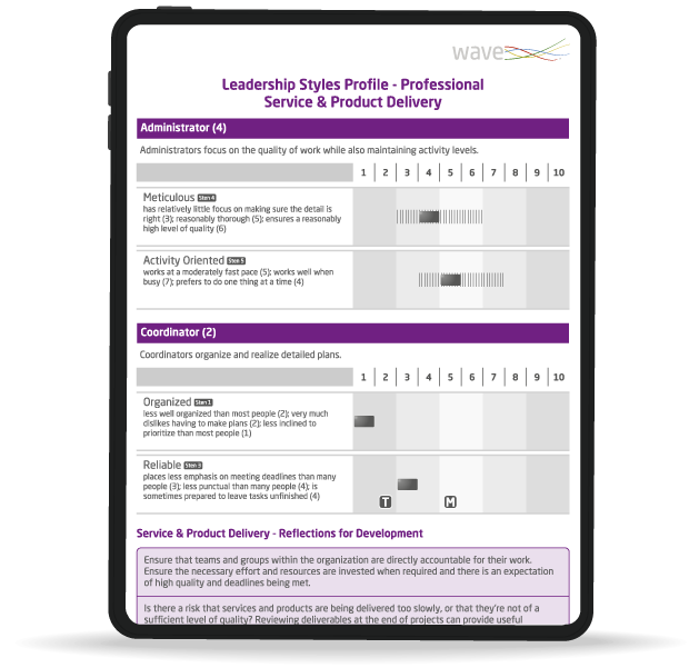 Leadership Impact Expert report, mockup