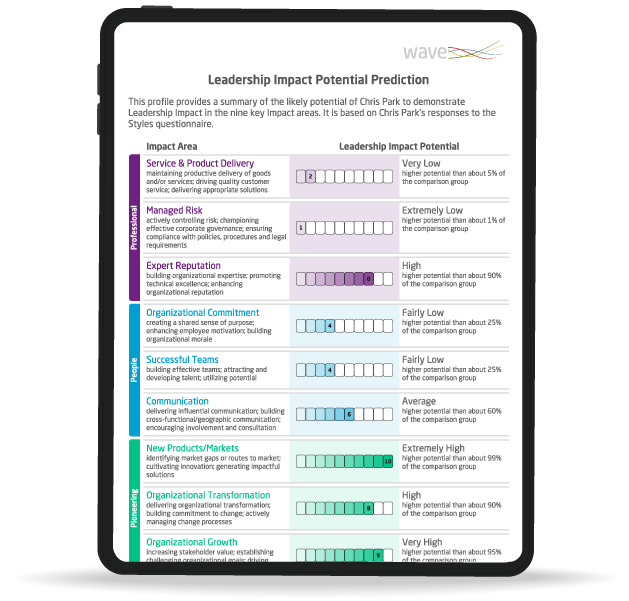 Leadership Impact Expert Selection Report, mockup