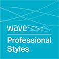 Saville Consulting Wave Professional Styles icon