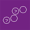 Saville Consulting Coaching Report icon
