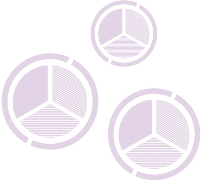 Leadership Impact Report branding