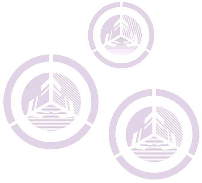 Leadership Risk Report branding